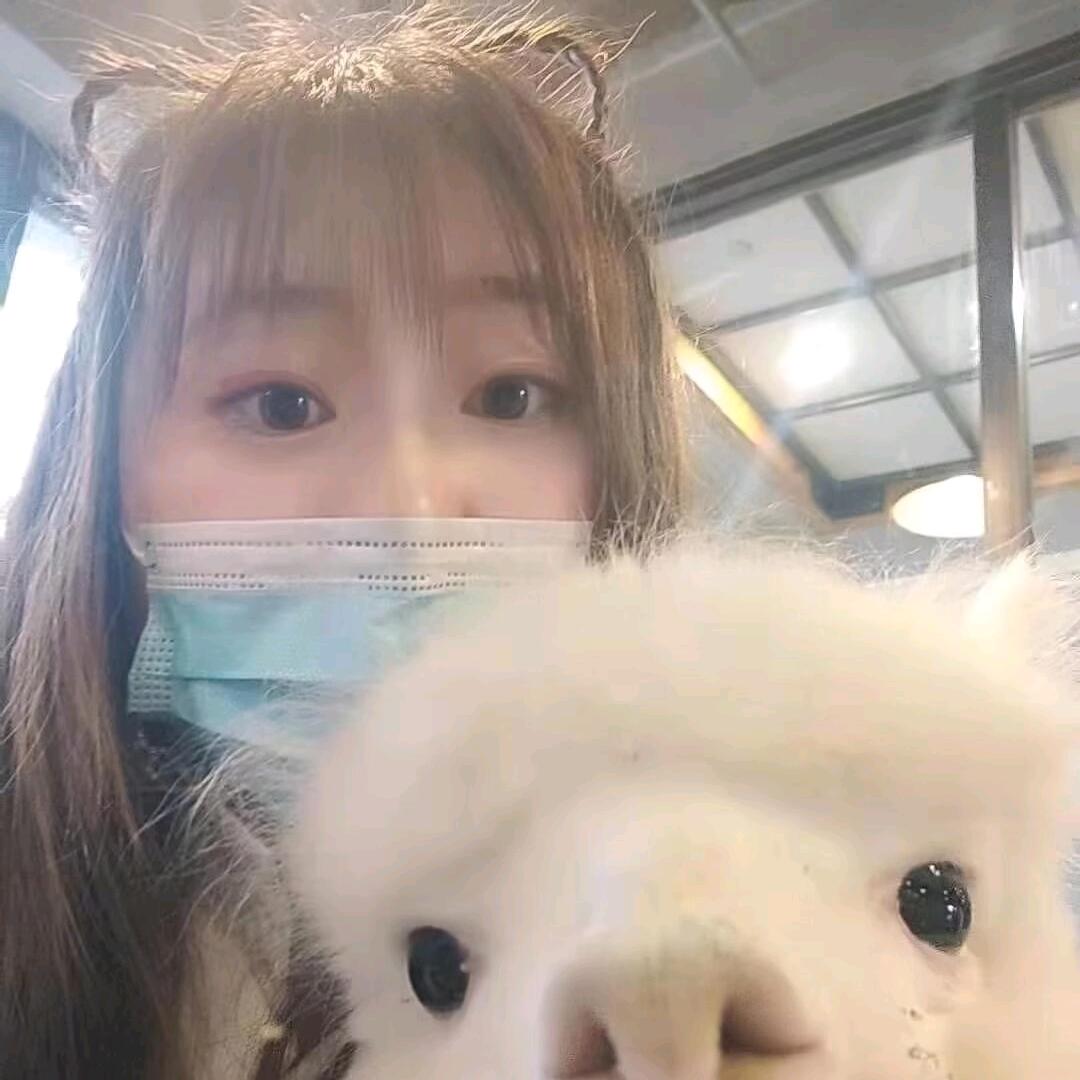 糖心