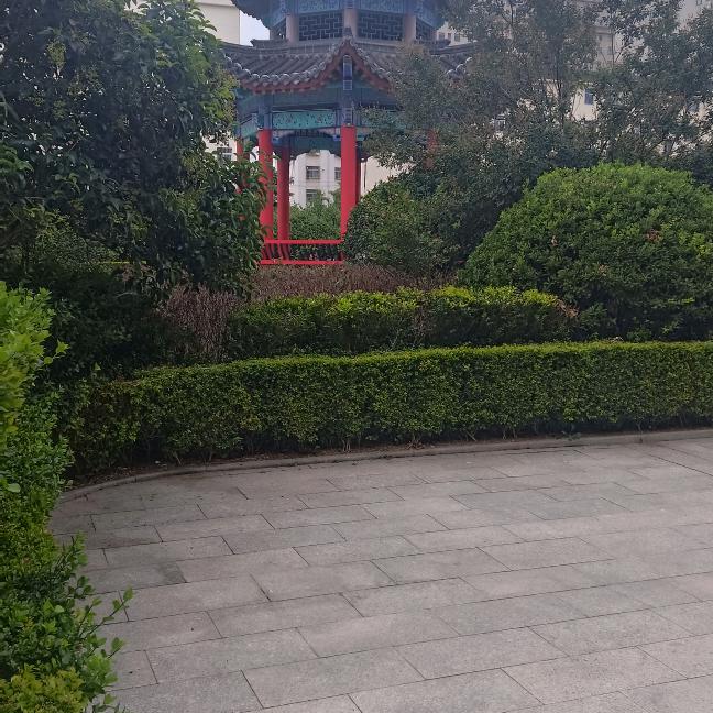 习惯就好