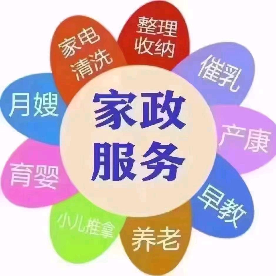 只看不刷，别叫我