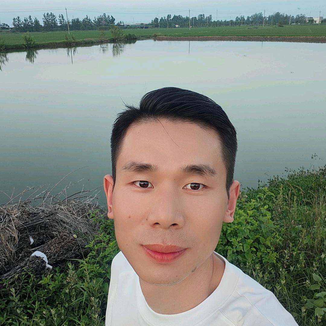 水哥电器优选