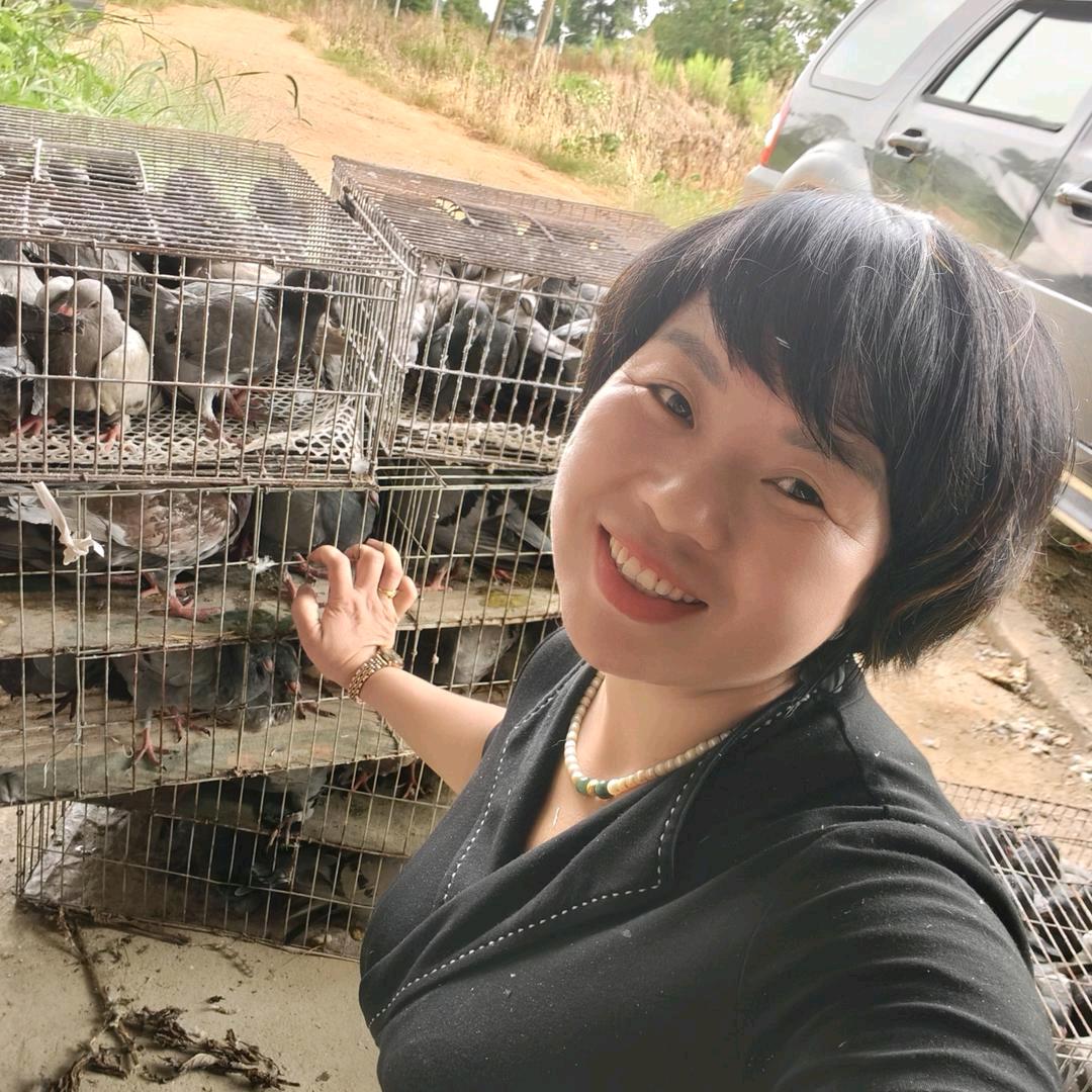 海业鸽子升业农场