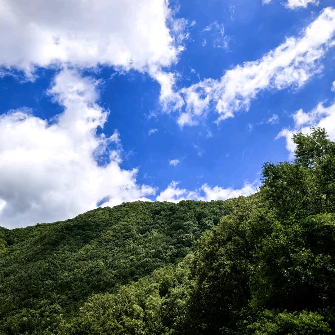 西安明芳房产
