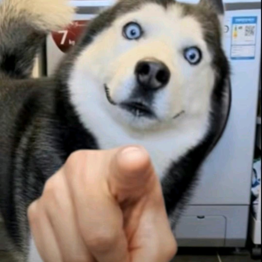 邏蘭擊ᵒ̴̶̷̥ ‸