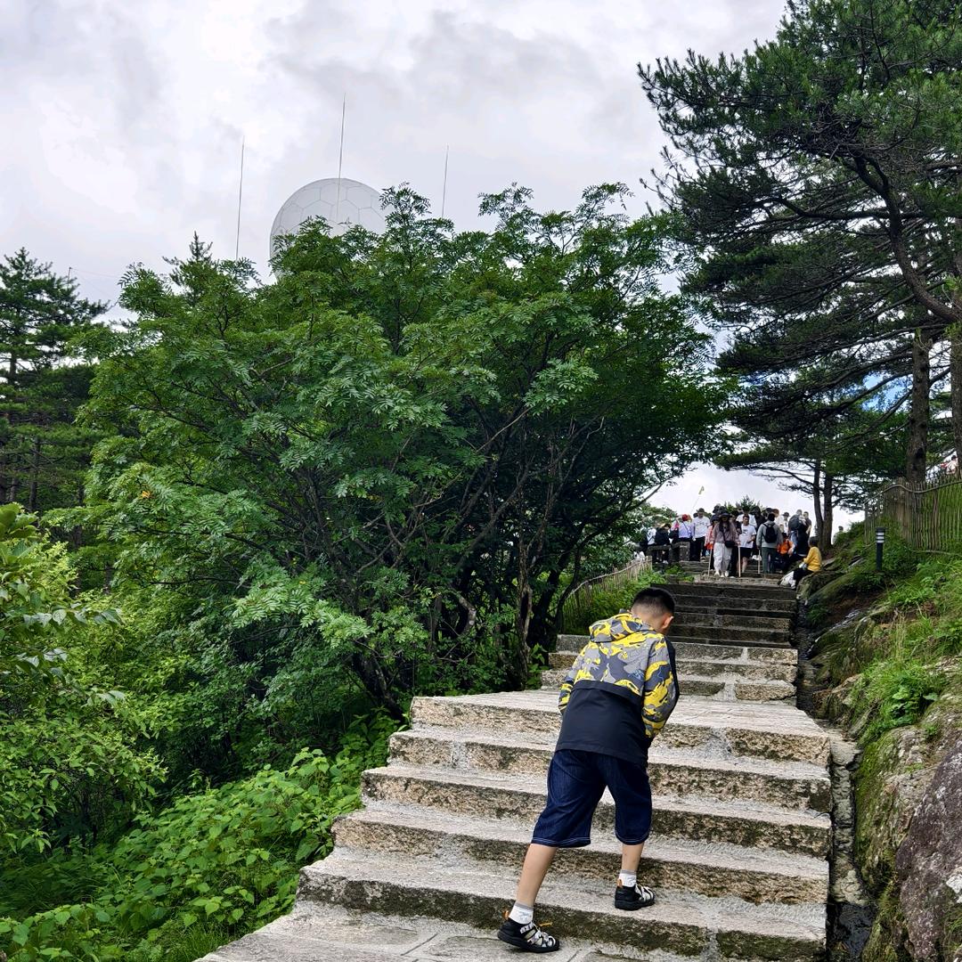 背景搭建