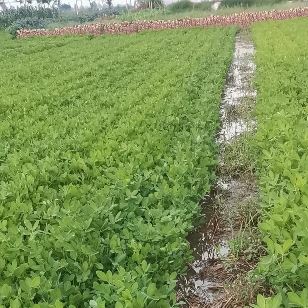 开心快乐☔️🌊☔