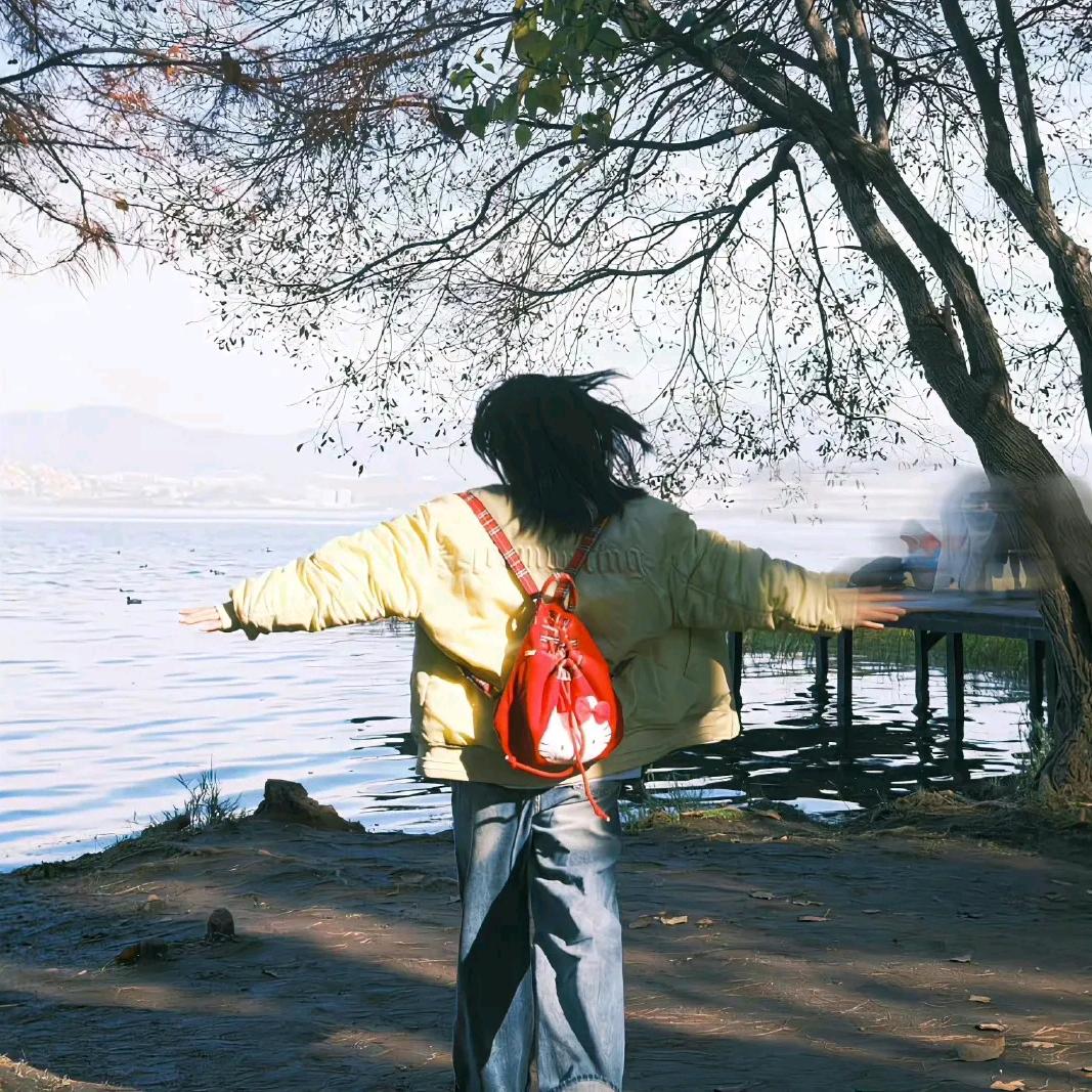 扶老奶奶闯红灯