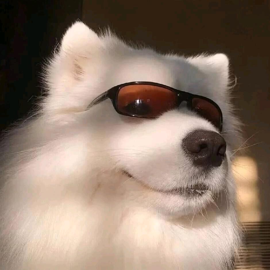 陈 不错
