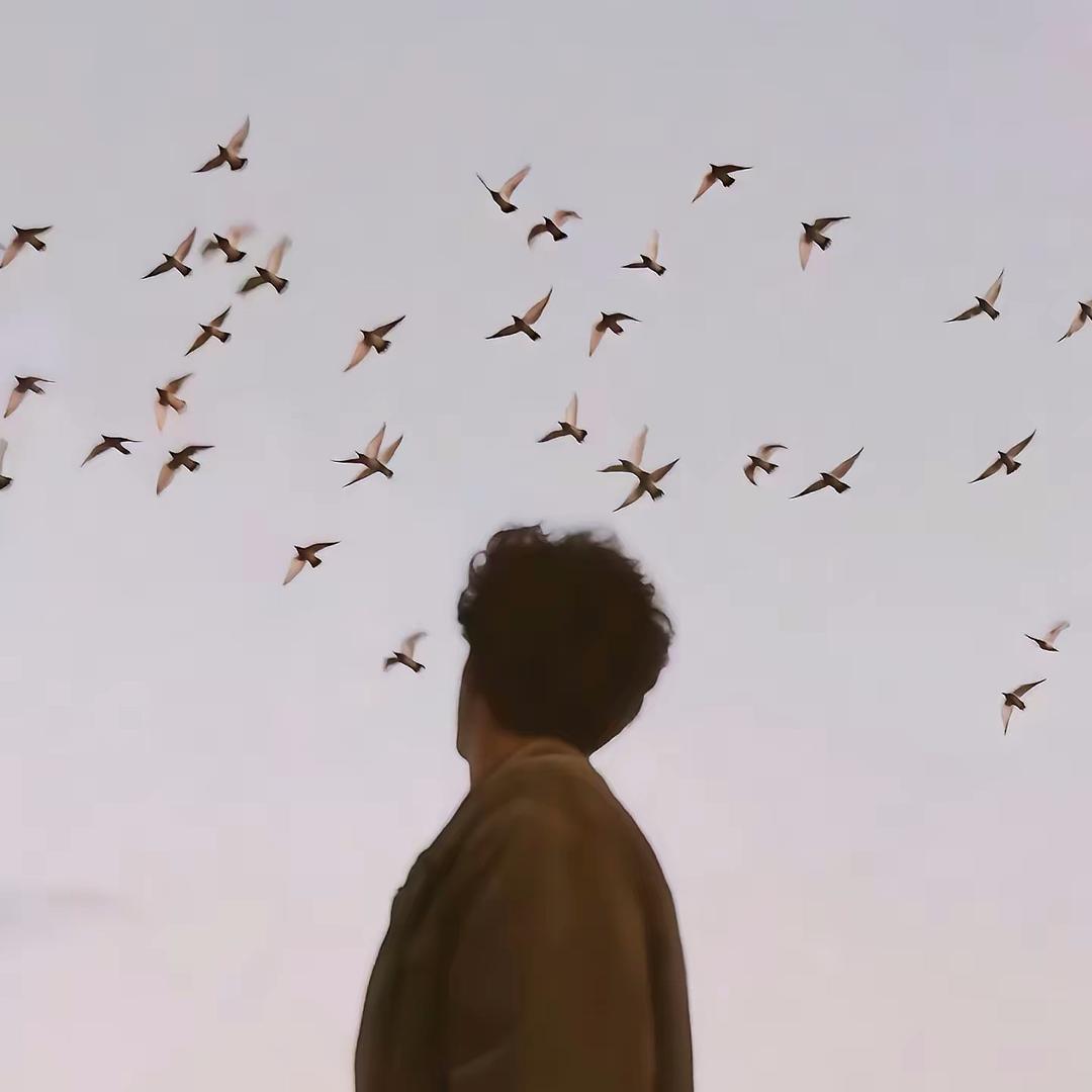 奶秀🌈