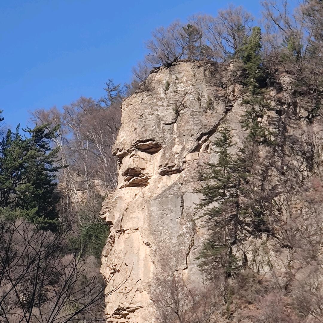 蜡术