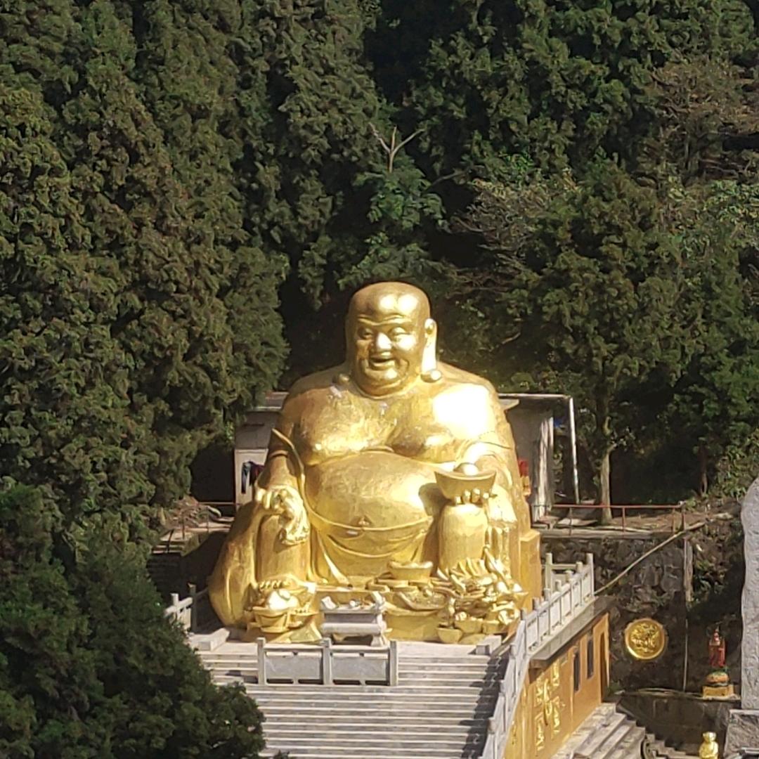 神鹰🦅🦅
