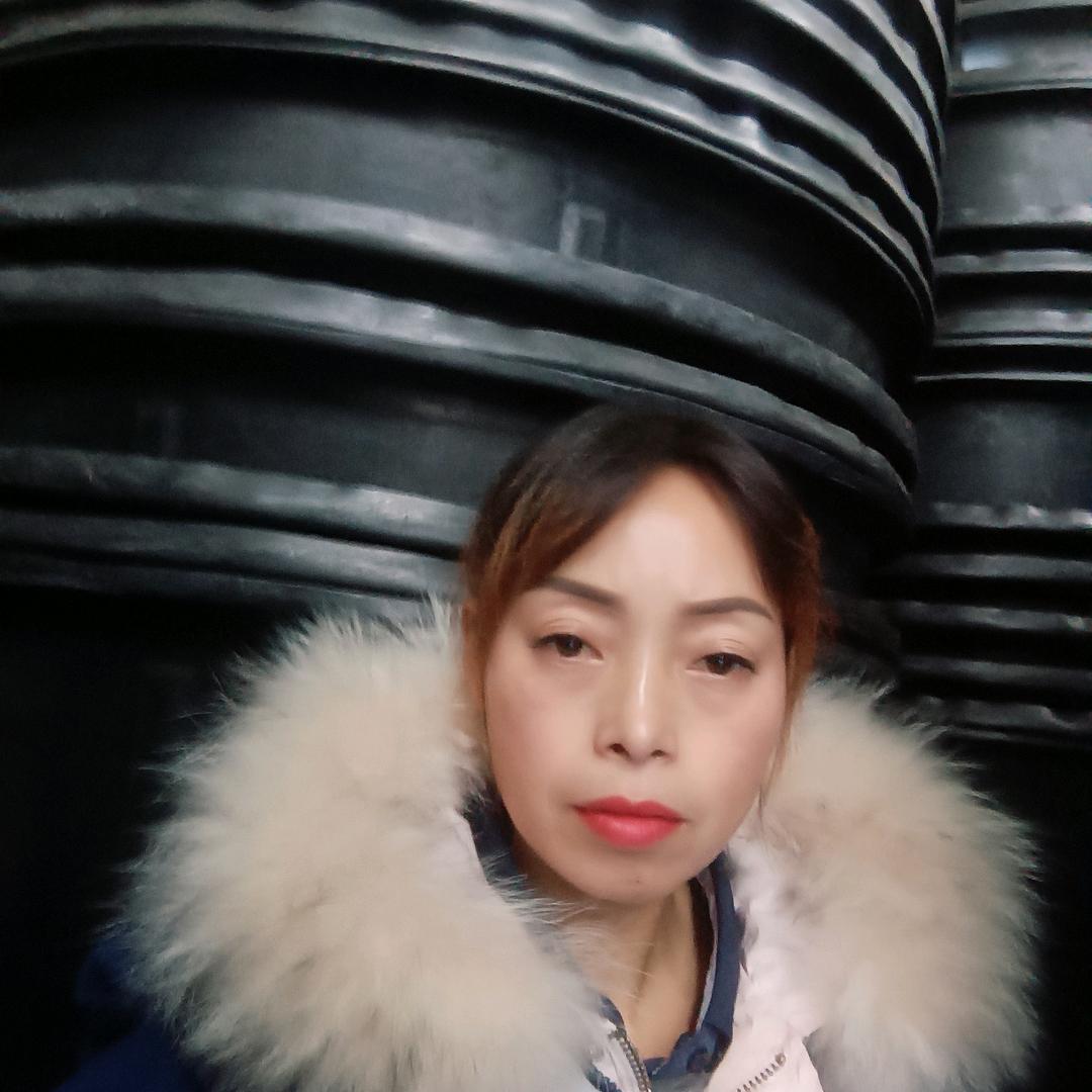 天上飞的小燕子