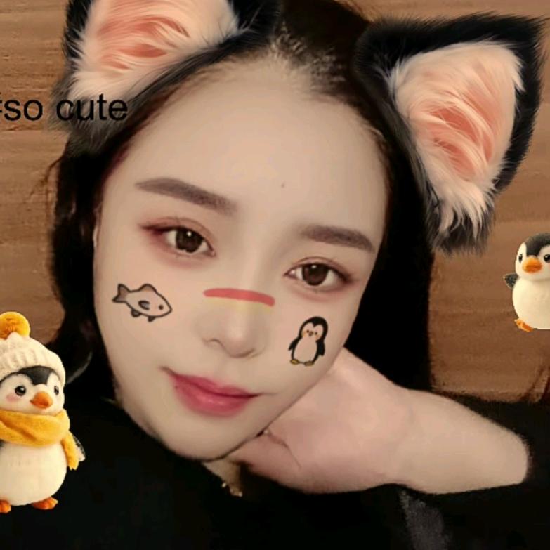 苏沫🐯