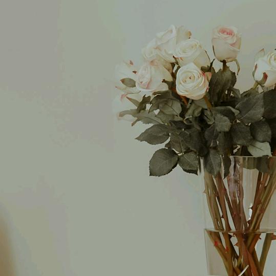 特种作业 柳贯衣