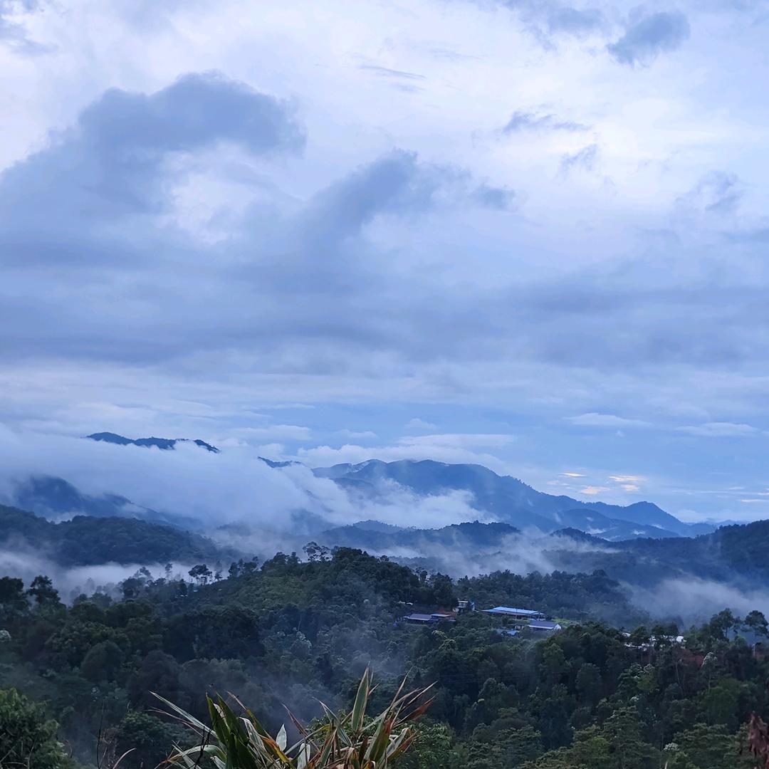 小（zhou）同志