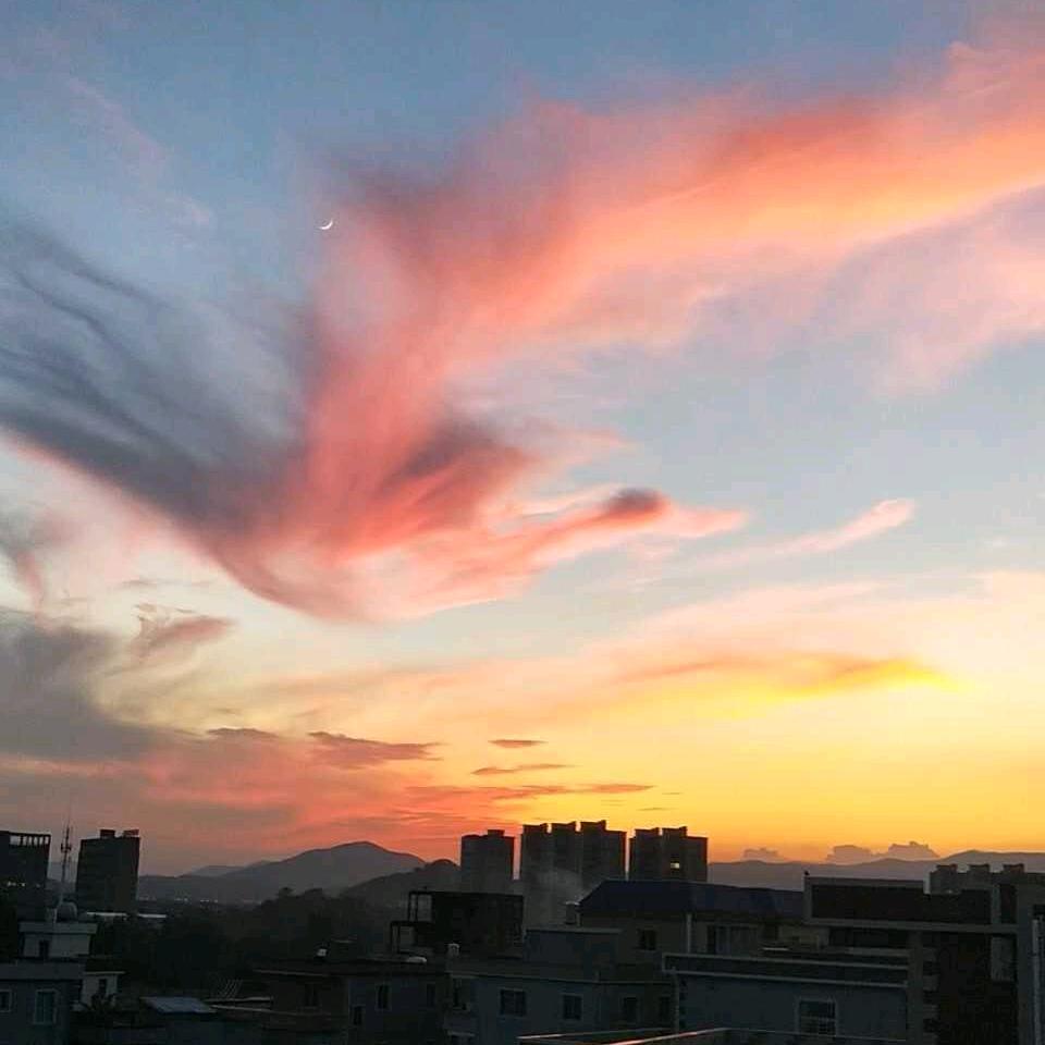 竹节香附