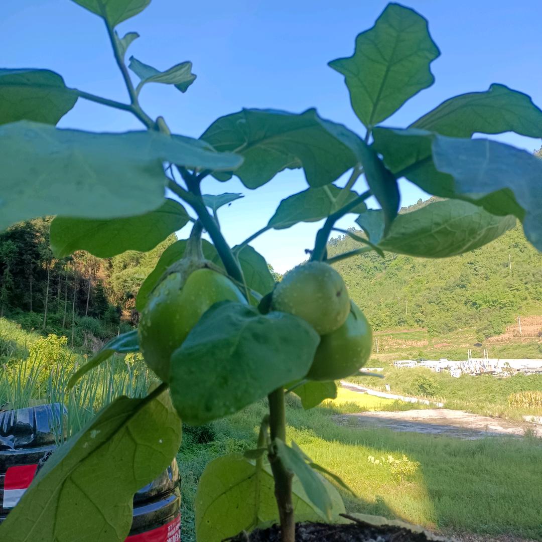 平平淡淡。