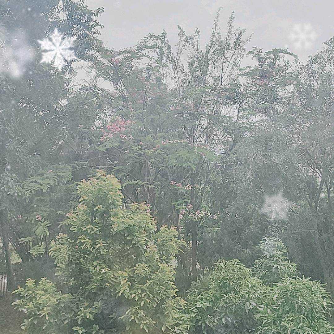 沉默