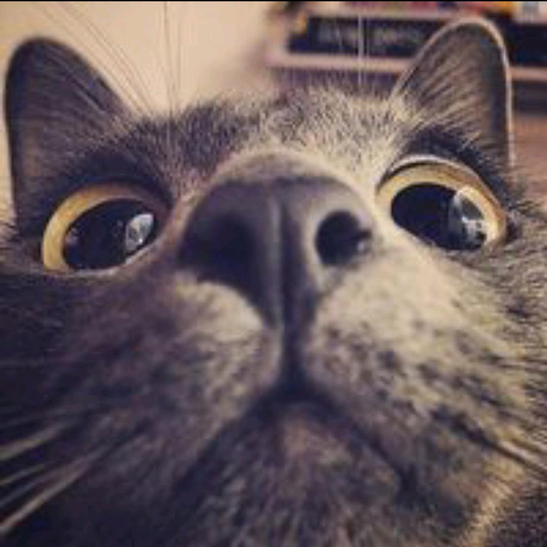 。～Y～