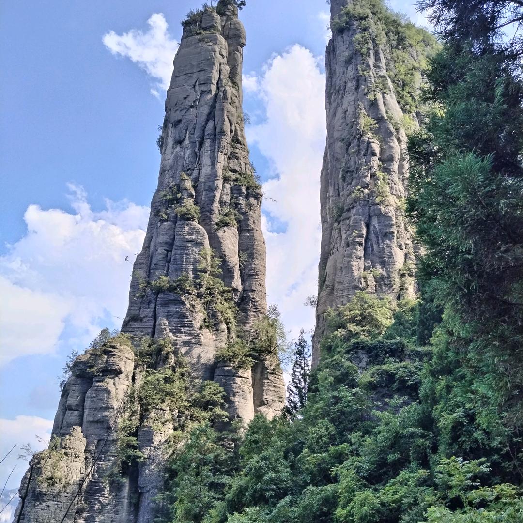 HuaxIN