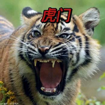 无怨无悔