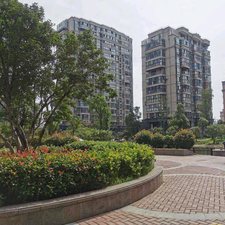 振宁房产🏡王丽红买房-装修_租房