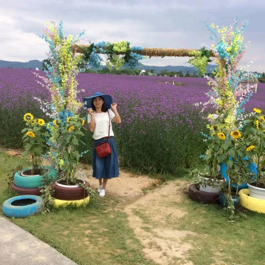 飞 跃 地 平 线