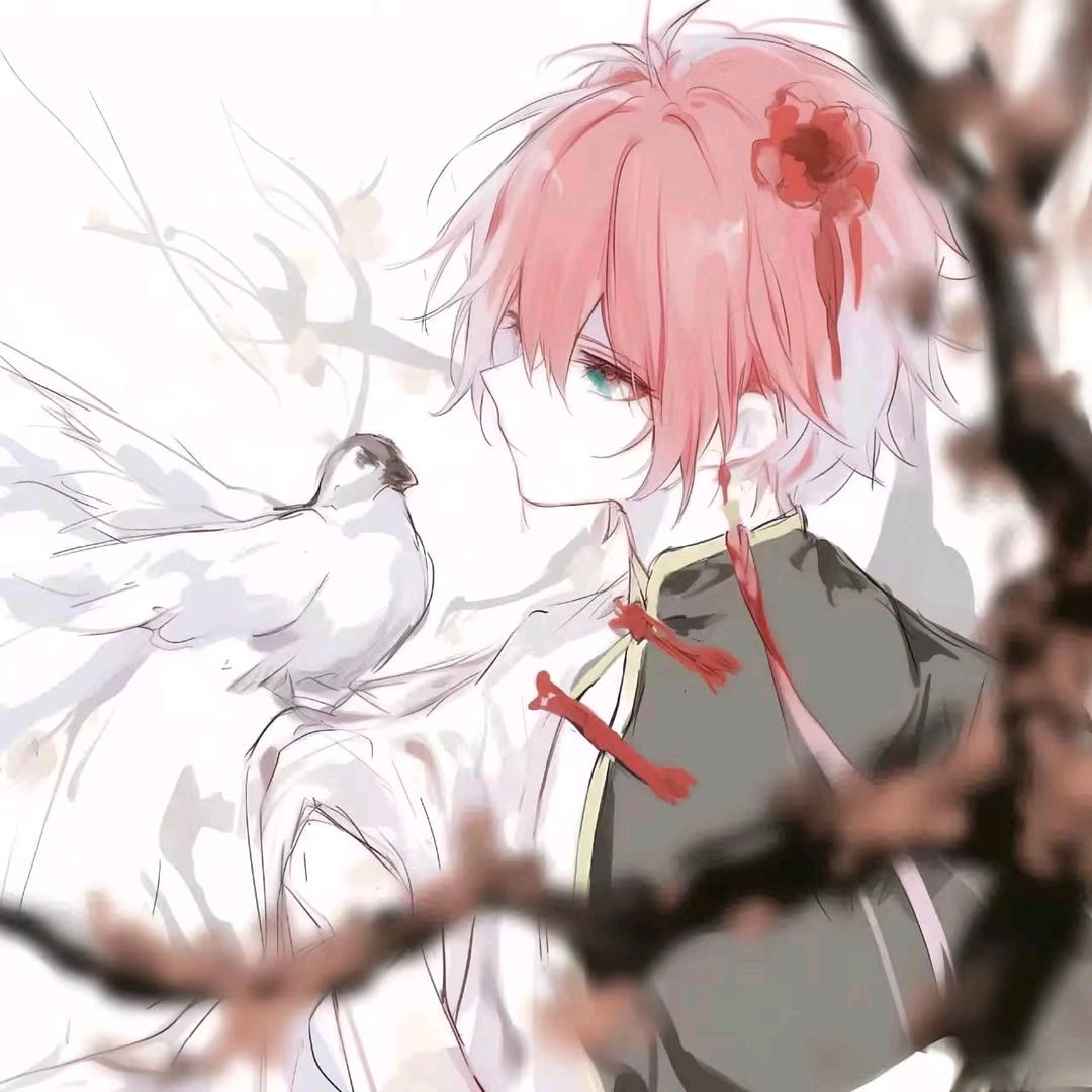 一叶凡尘可遮天