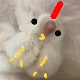 FDK：祭野