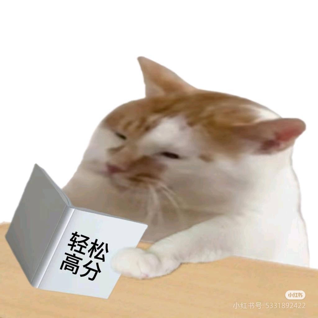 四级过