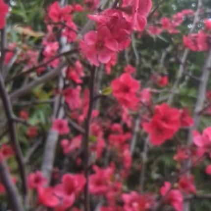 半梦半醒\半浮生