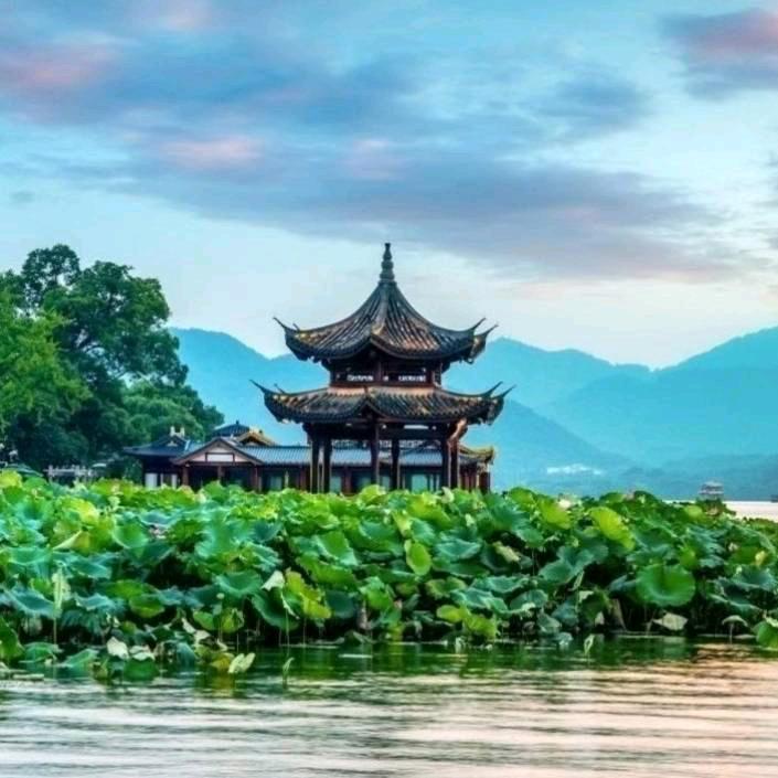 老小组合