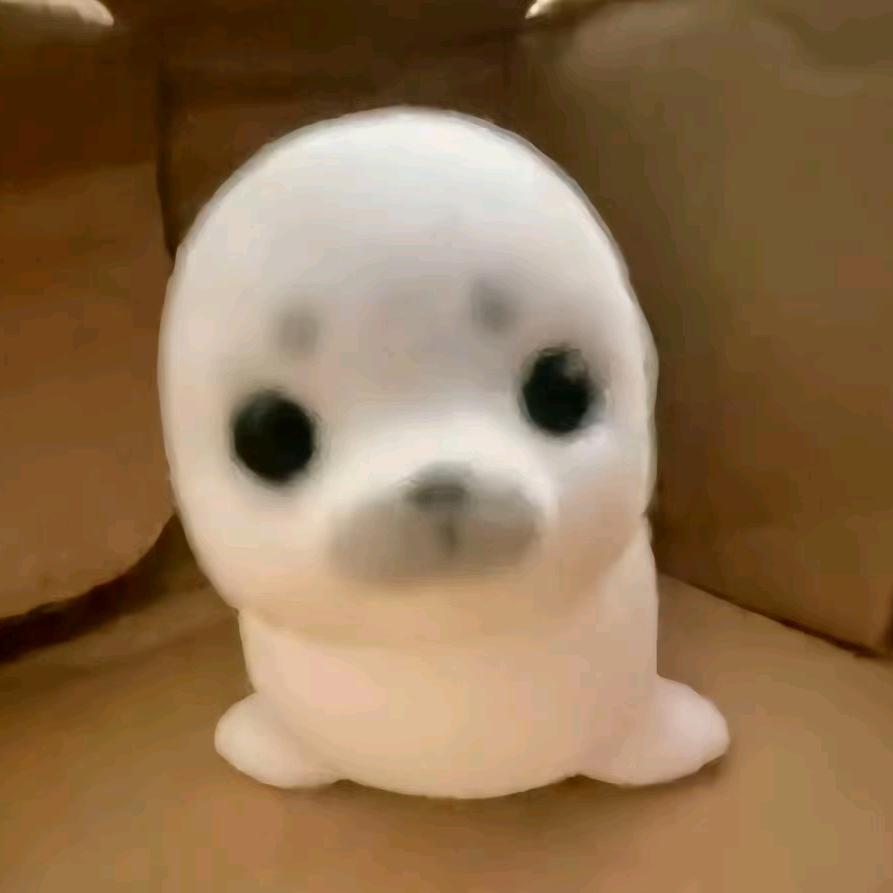 海盐鼠尾草