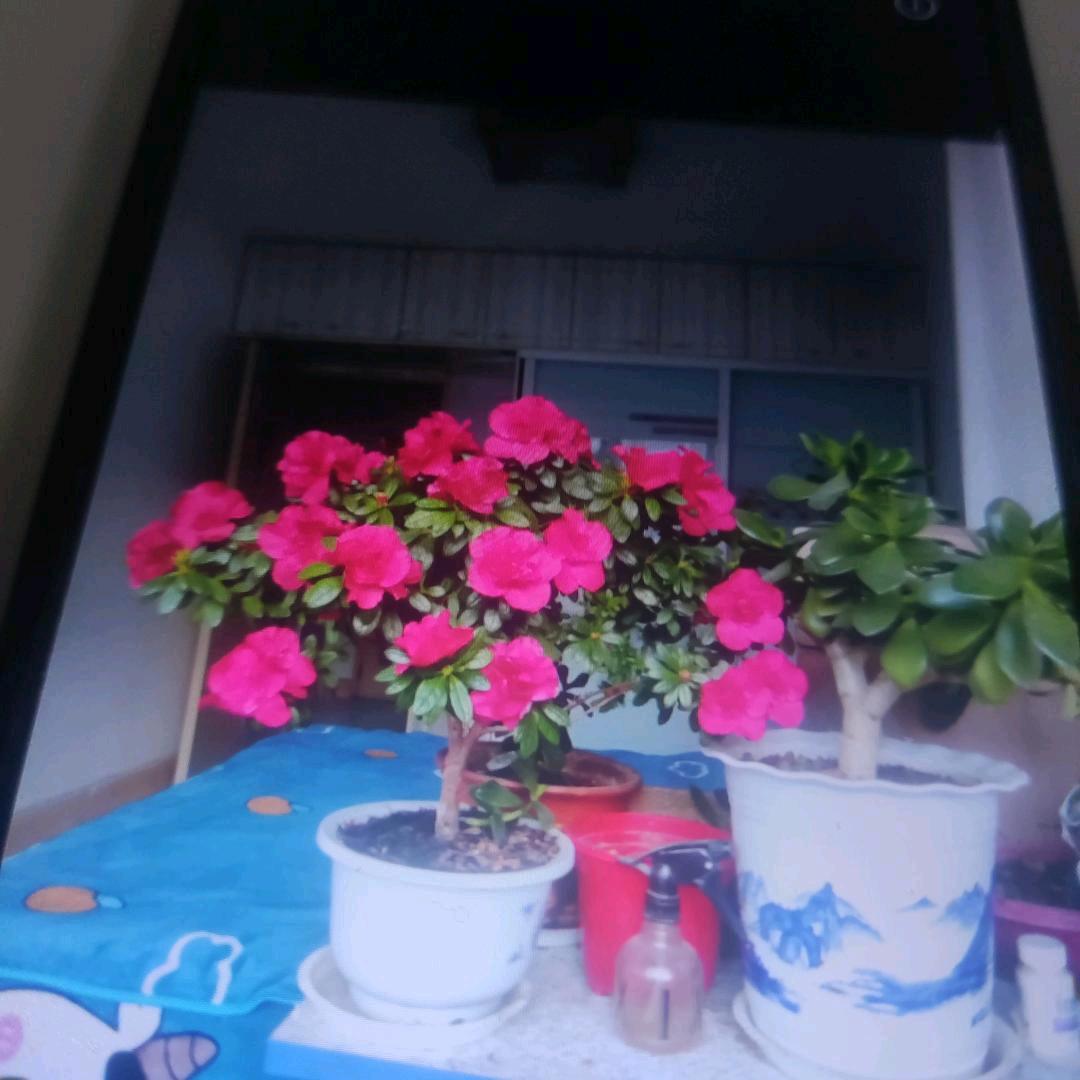 用户2156185147149