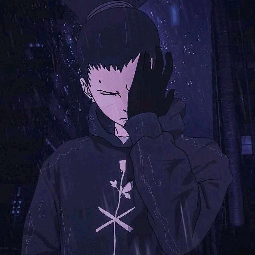 小懿