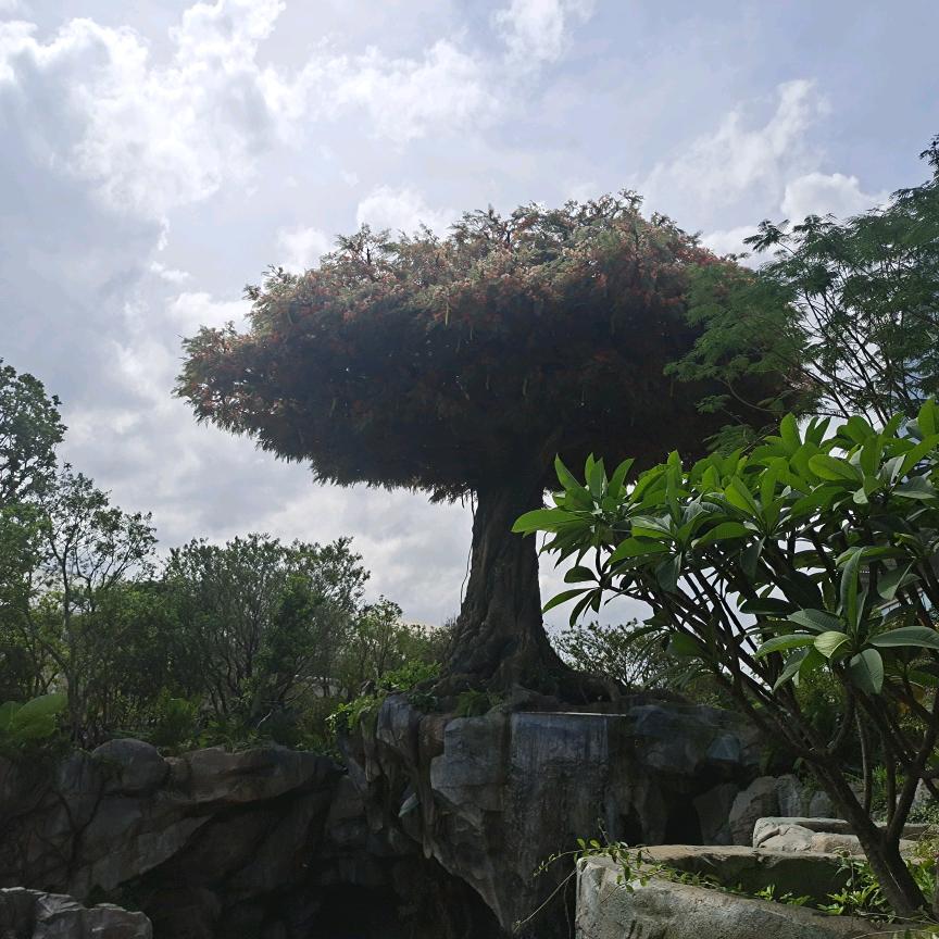 酥悠阁