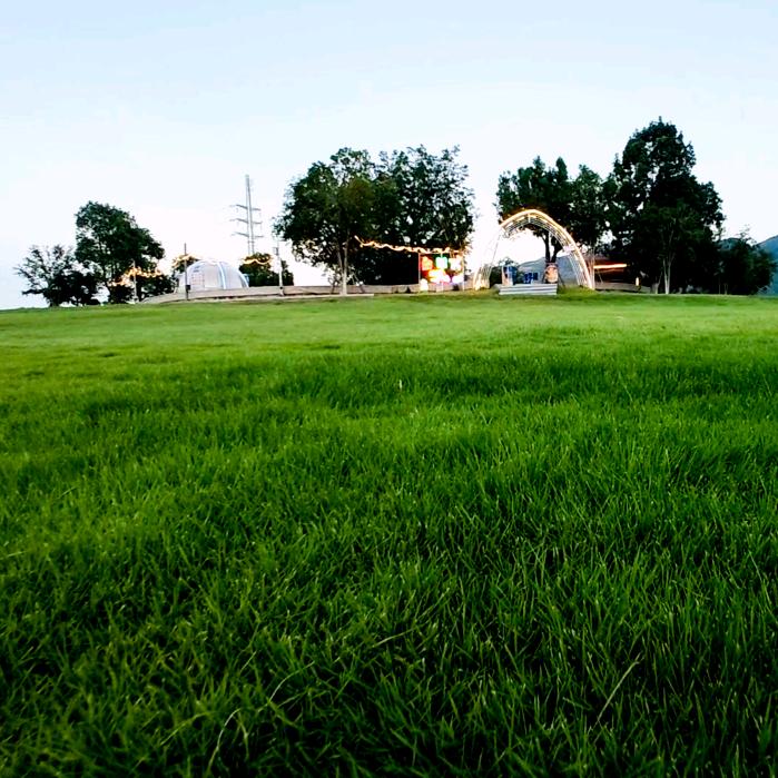永泰啤酒小镇榕树下啤酒广场