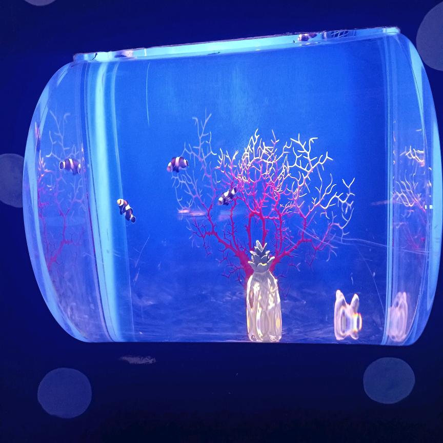 不知道用啥名字