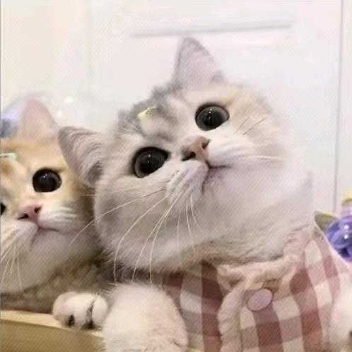 孩子气