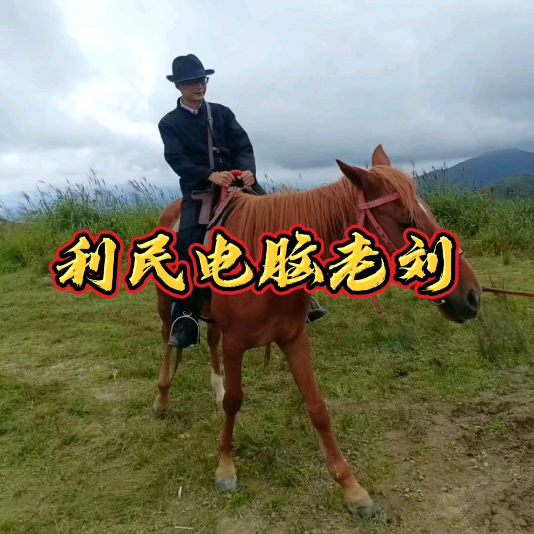 桂东利民电脑