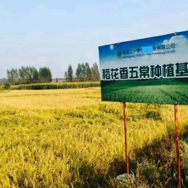 黑龙江五常,水稻专业合作社