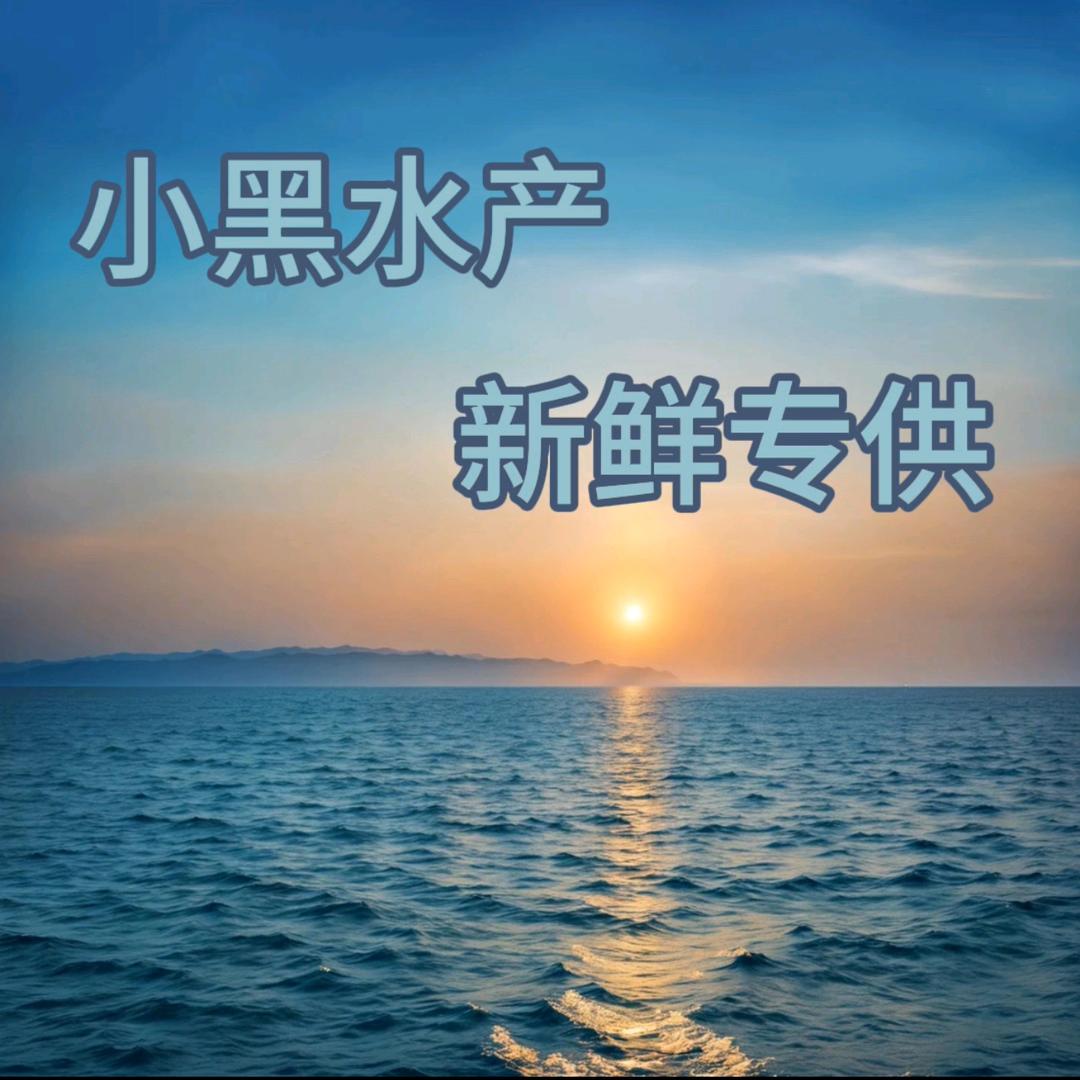 小黑卖海鲜