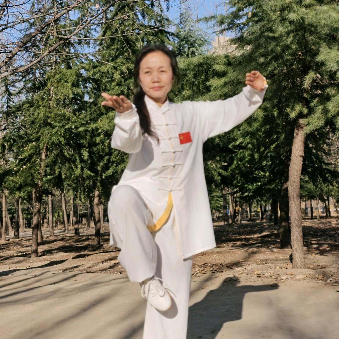 太极静修