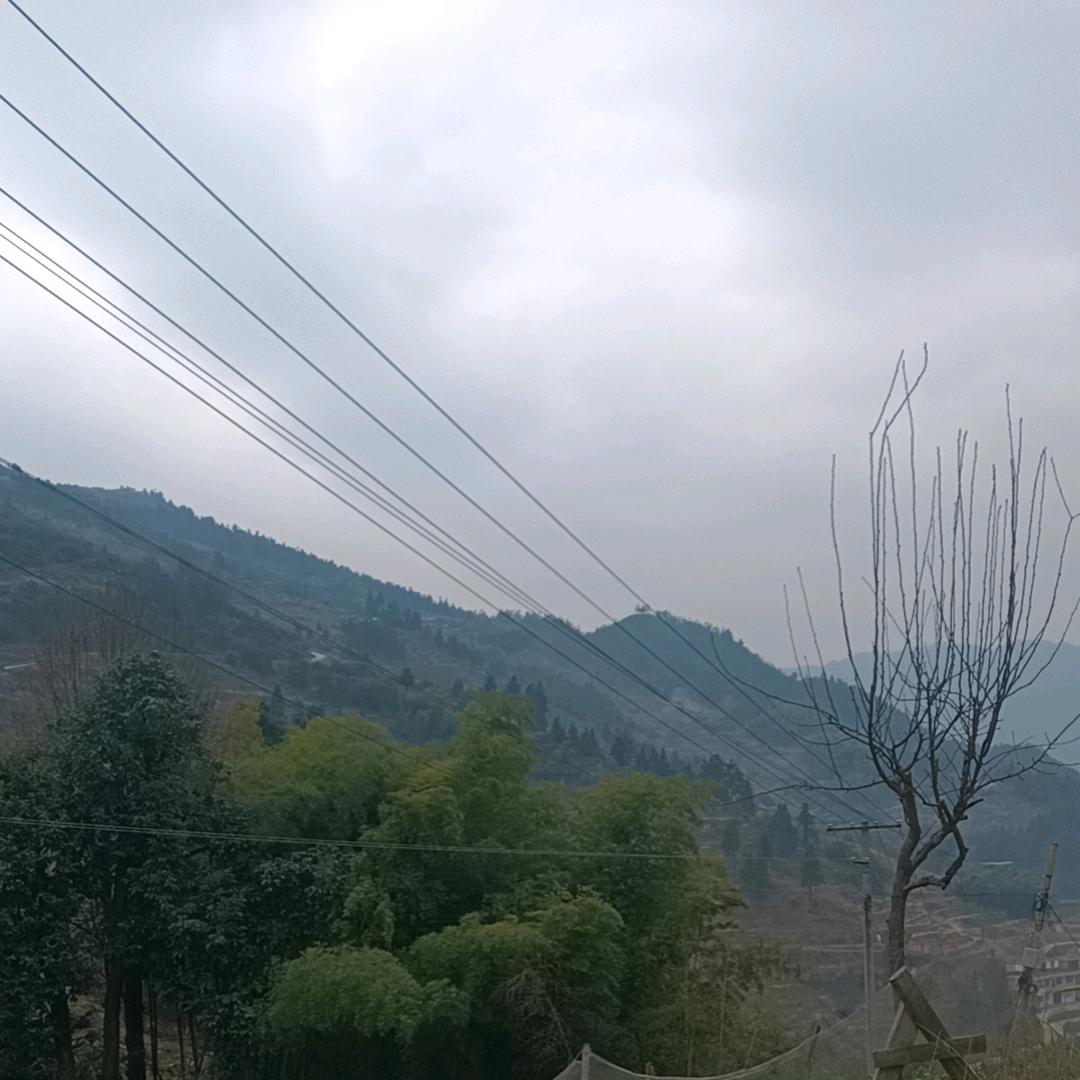 百味生活