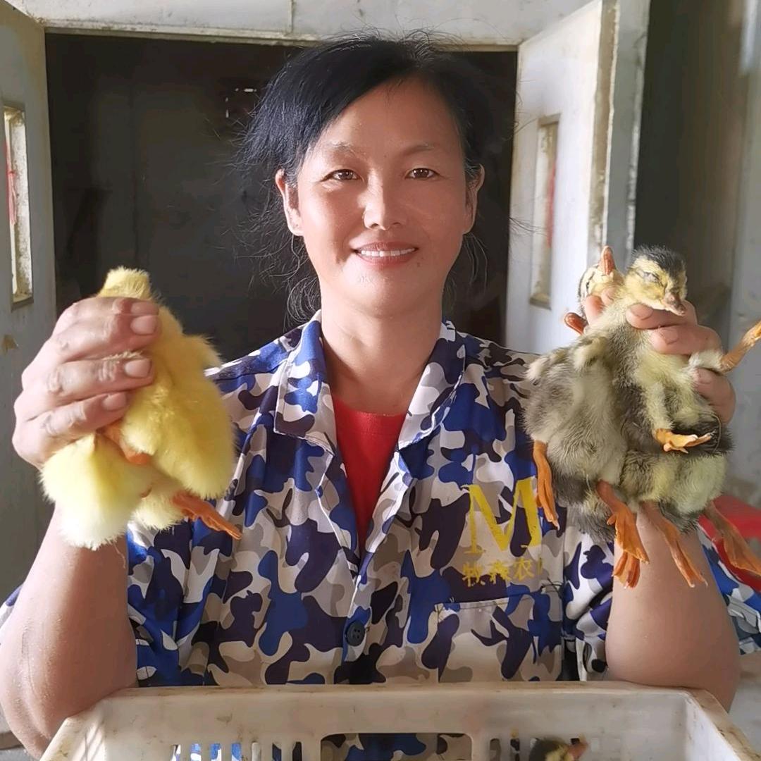 黄氏种禽有限公司