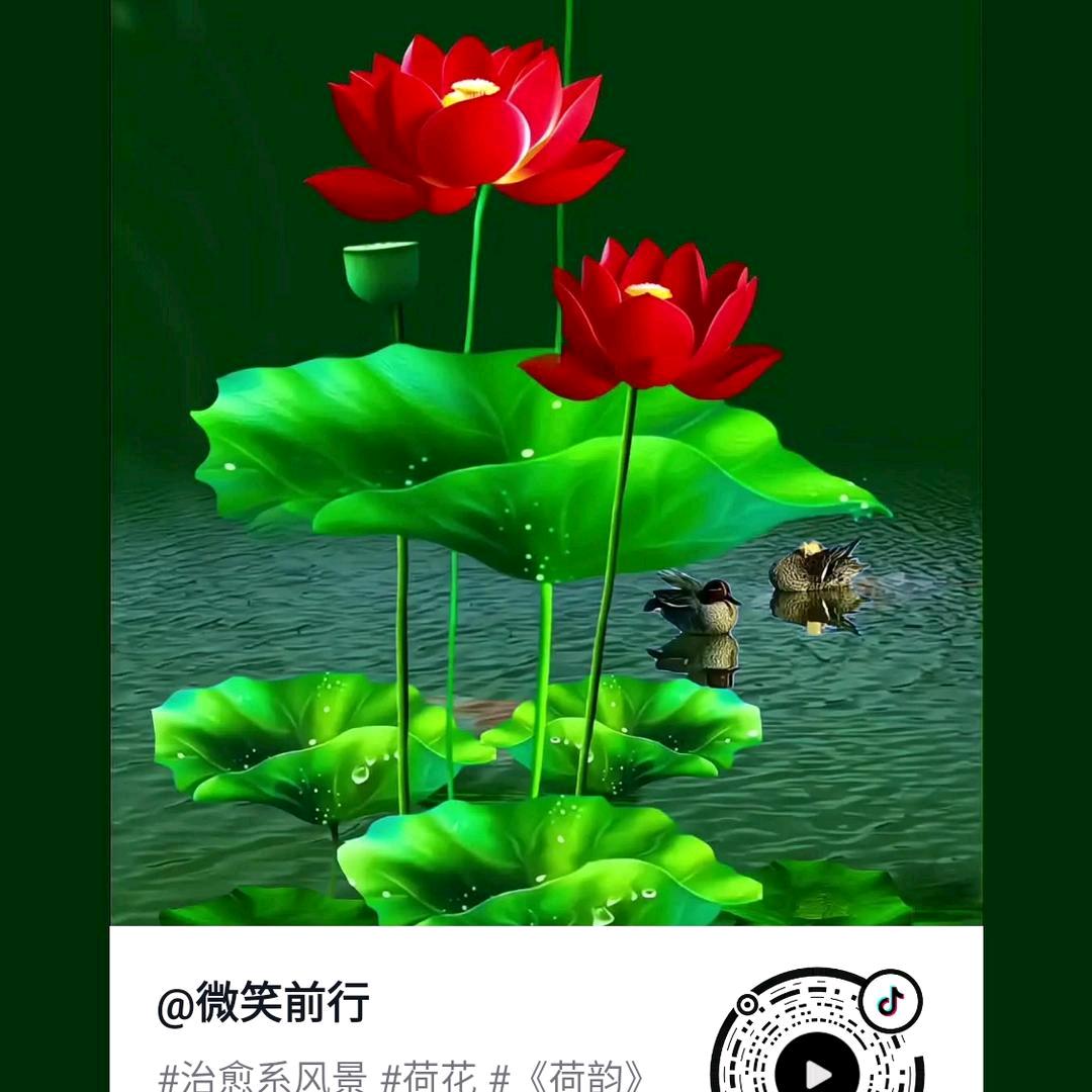 水电吊顶小刘