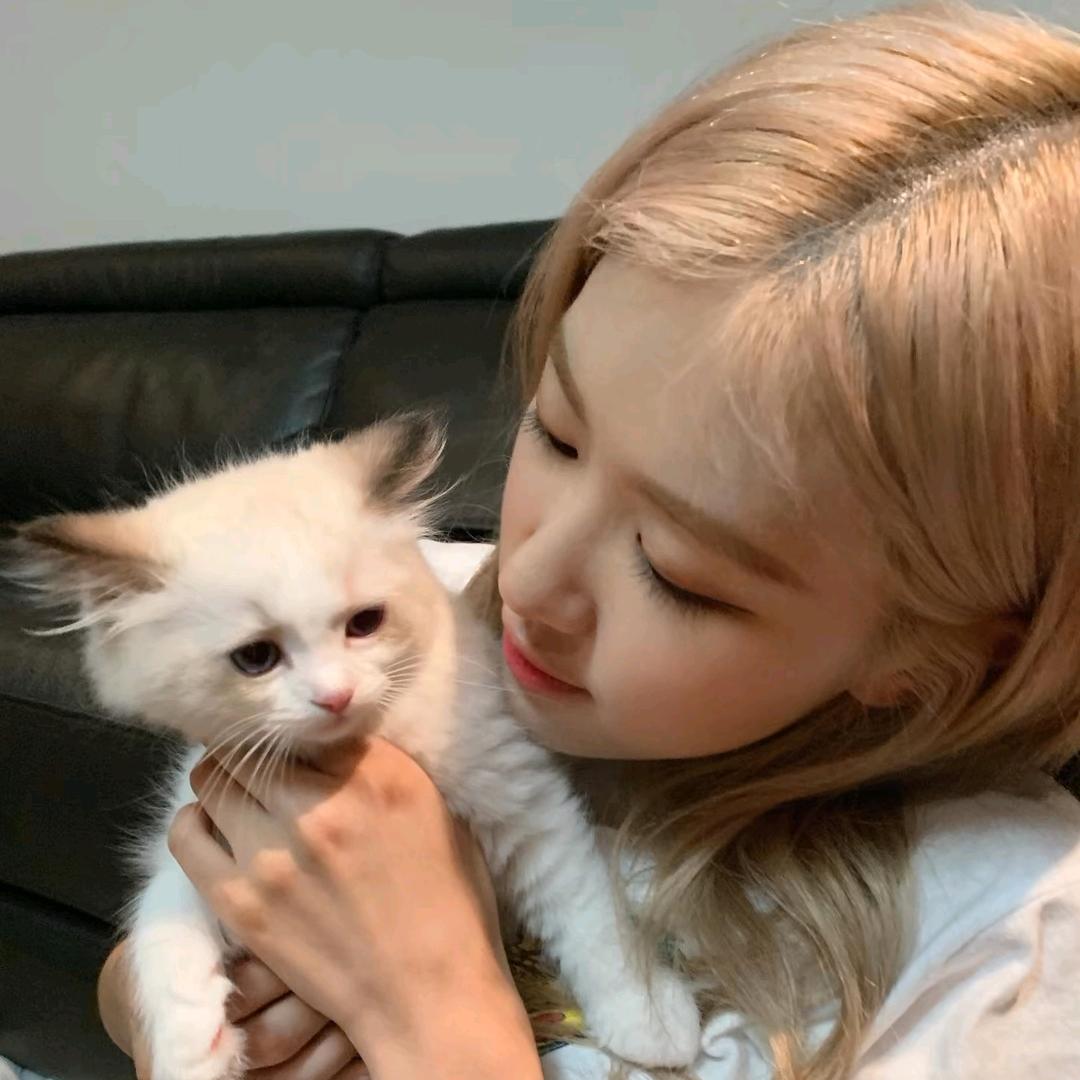 小杏福