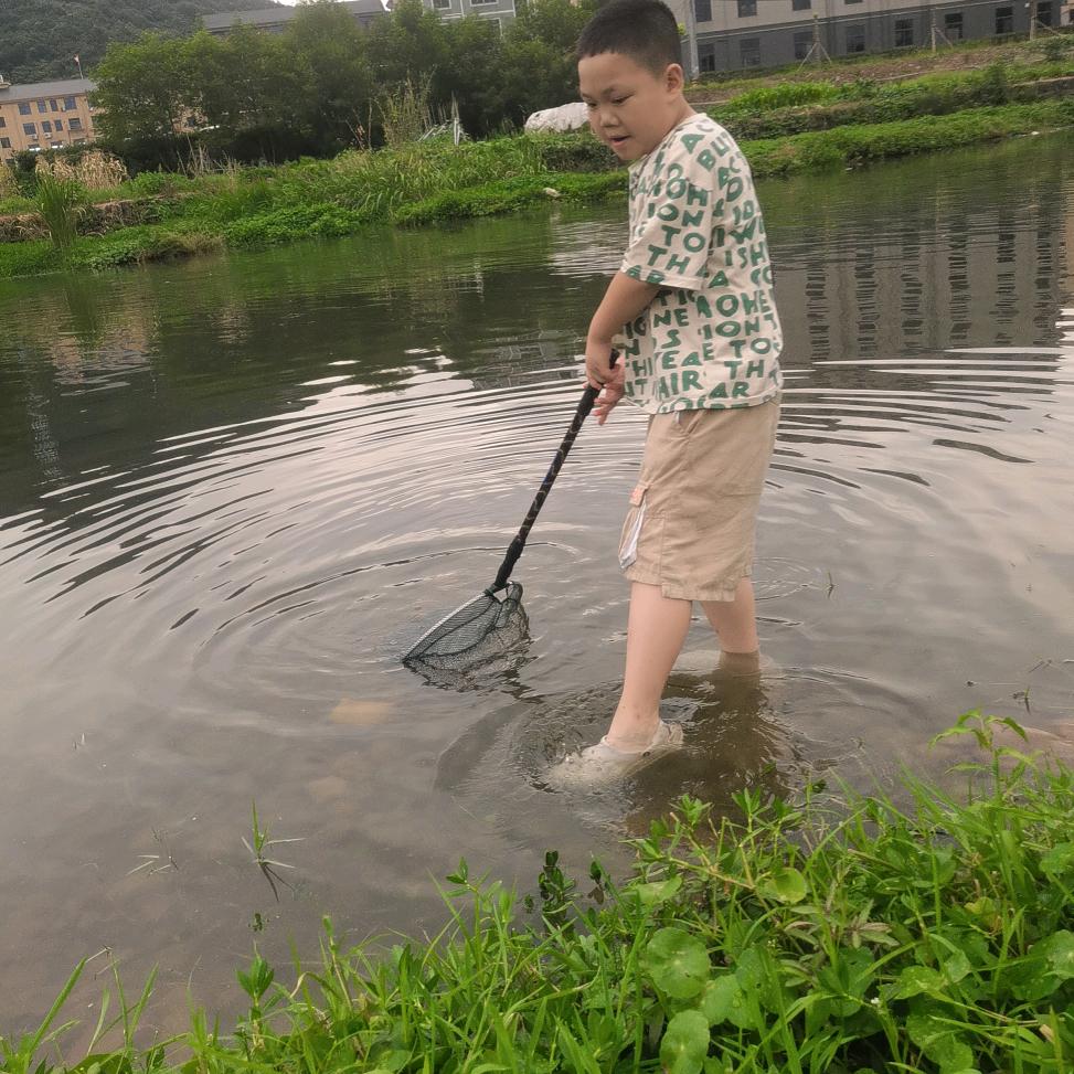 向丽