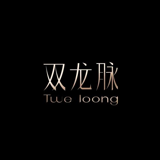 双龙脉中华眼贴