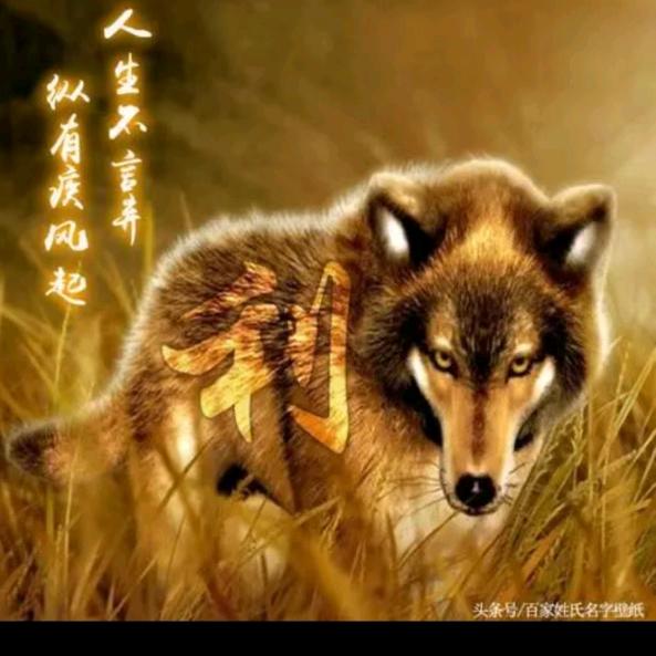 陕西中政置业有限公司