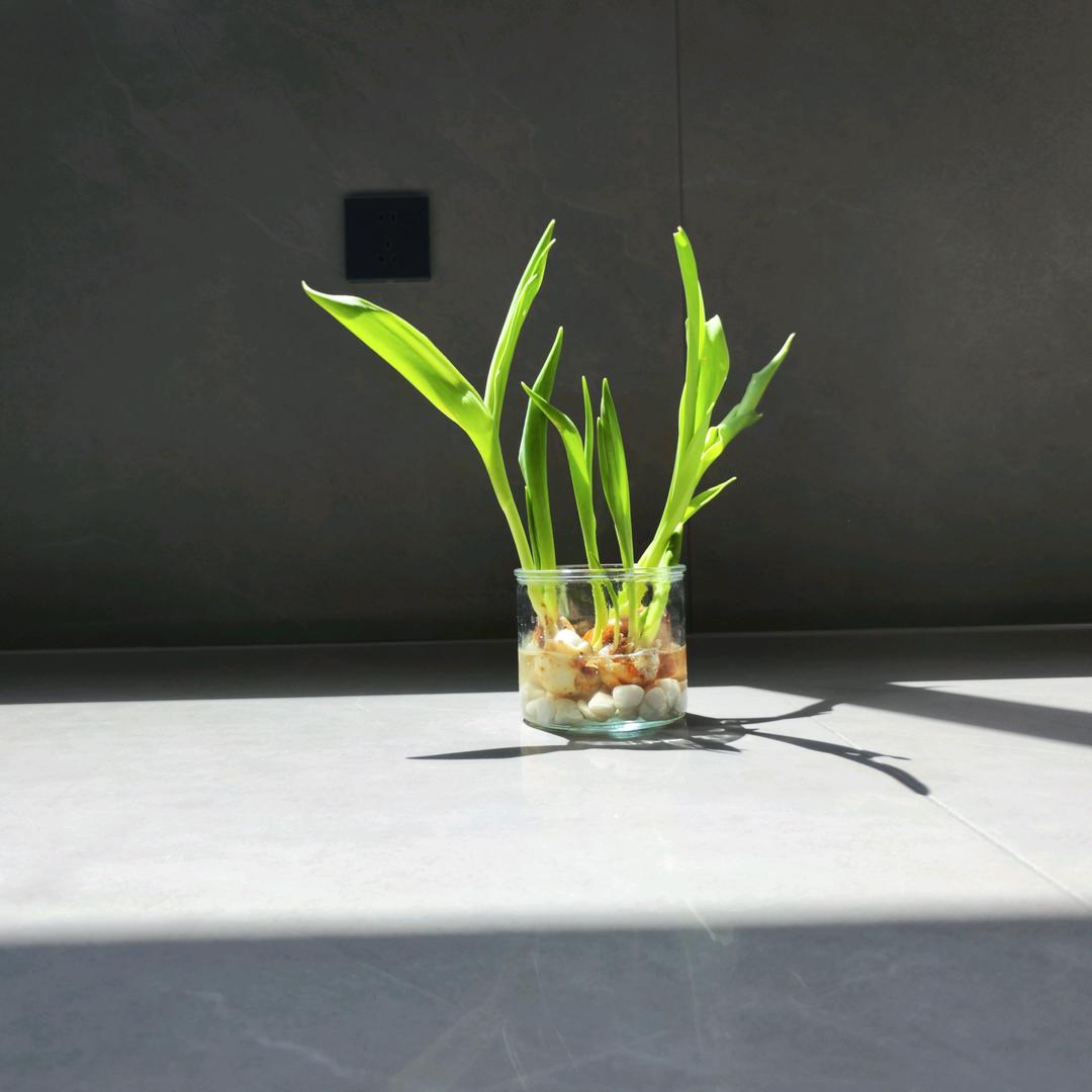 青春